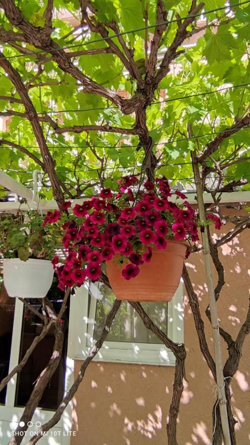 Apartman Tihana Crikvenica Kültér fotó